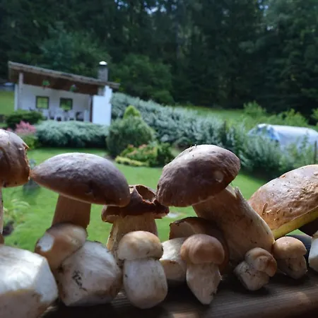 U Vacu Appartement Železná Ruda