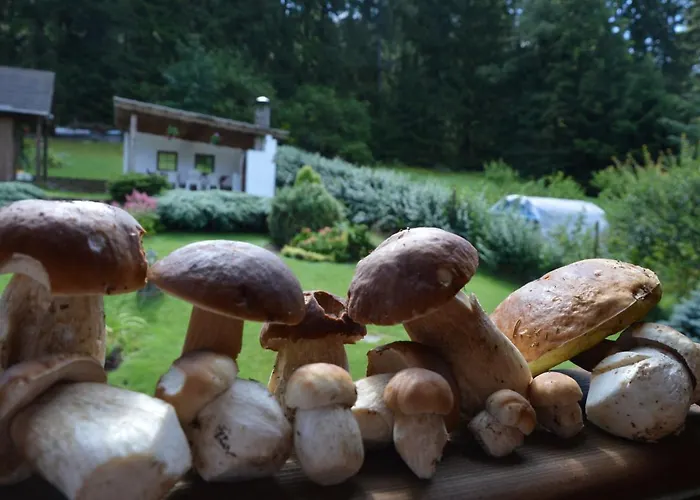 U Vacu Appartement Železná Ruda